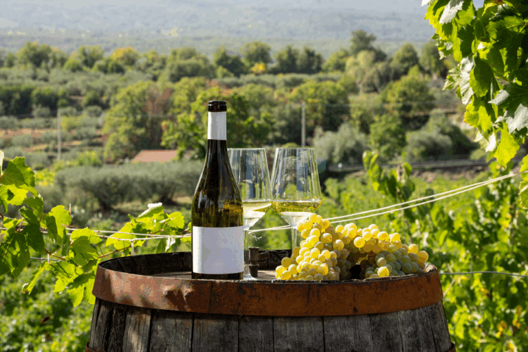 white-wine-and-grape-bunch-on-barrel-in-vineyard-d-2025-03-26-23-14-43-utc