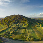 Beste wijnen uit Neder-Oostenrijk, wijnpraat, wijnnieuws, wijnpraatNL