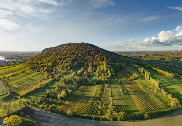 Beste wijnen uit Neder-Oostenrijk, wijnpraat, wijnnieuws, wijnpraatNL
