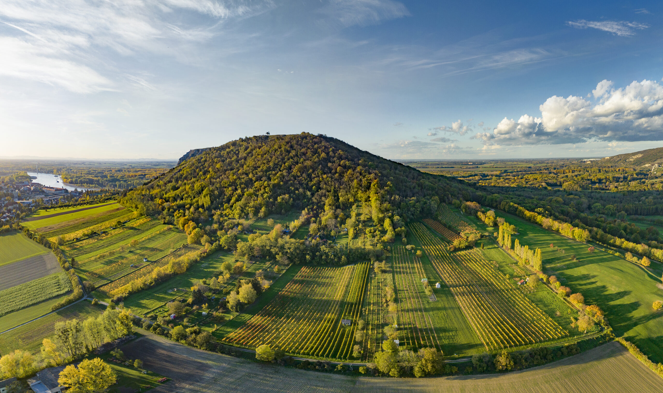 Beste wijnen uit Neder-Oostenrijk, wijnpraat, wijnnieuws, wijnpraatNL
